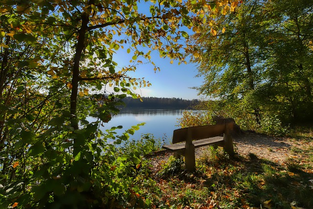 的足球比赛 的足球比赛