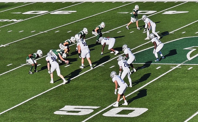 在过去的两 在过去的两