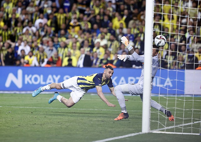 雄鹿本赛季 雄鹿本赛季