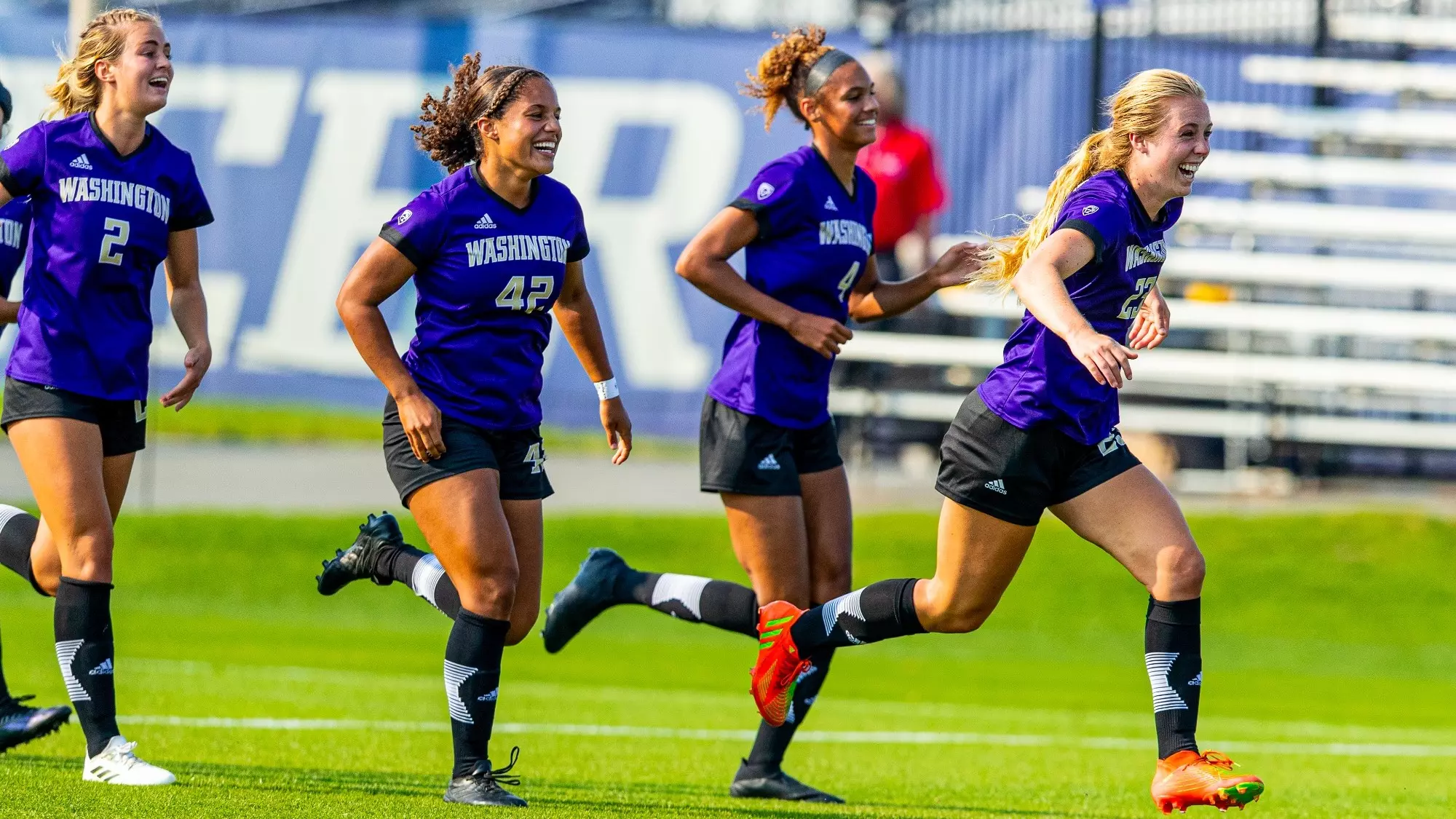 也证明了雷 也证明了雷